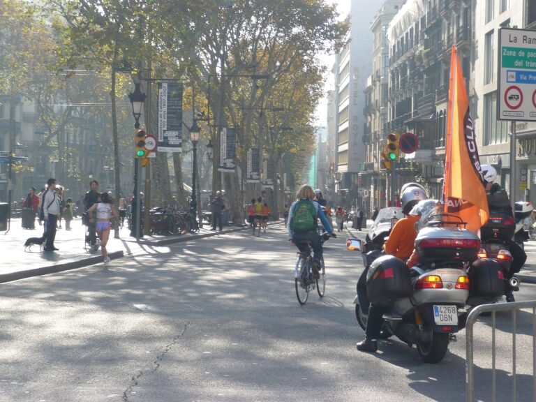 Ni la izquierda ni la protesta: lo que se sabe (y lo que no) de Blocus