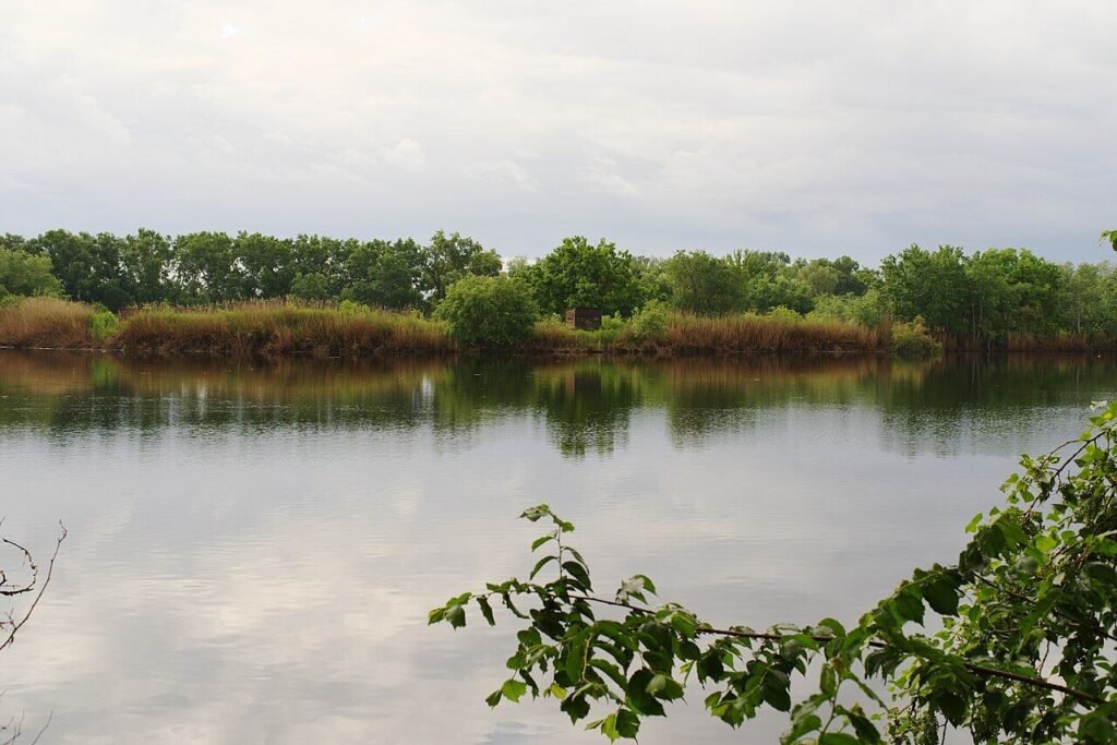 Laguna rodeada de vegetación en el Soto de las Juntas, en el Parque Regional del Sureste