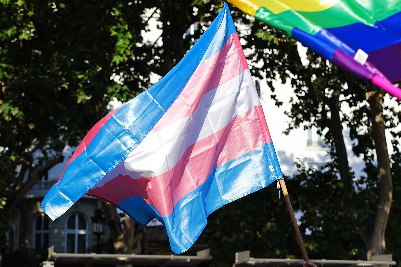 Bandera trans, con franjas azul claro, rosa y blanca, ondeando en la manifestación del Orgullo