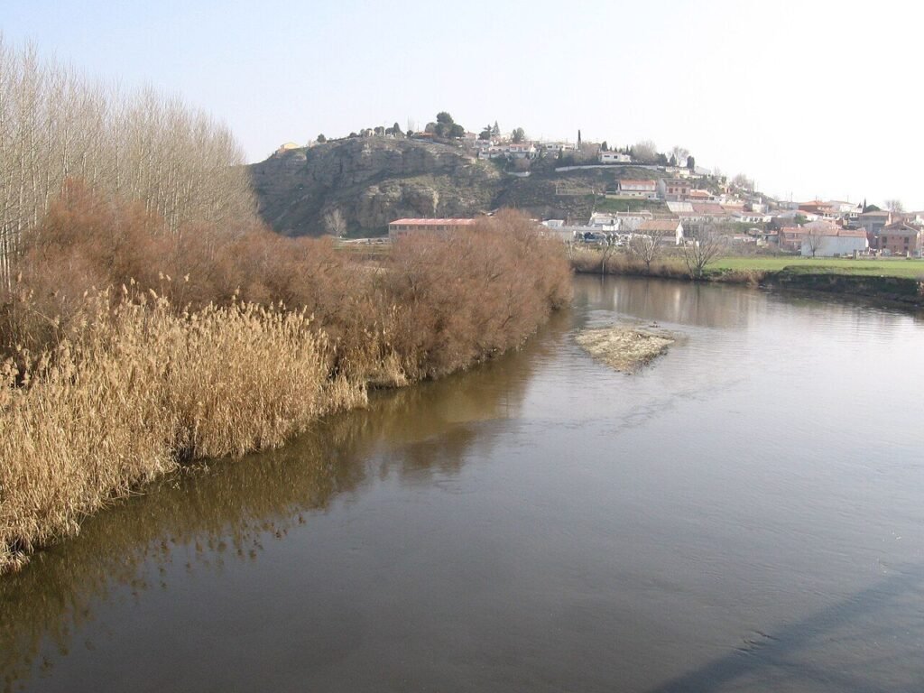 El río Jarama a su paso por Titulcia, con el pueblo al fondo sobre un cerro