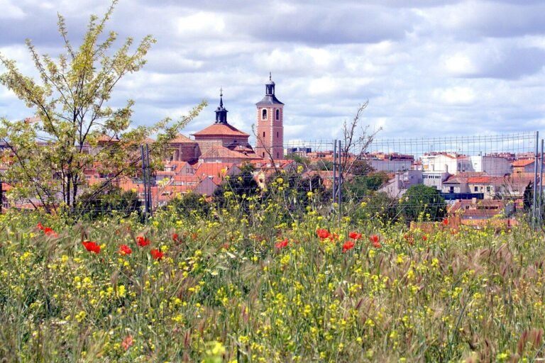 Valdemoro: una incineradora a las puertas, un Cercanías que falla y servicios que no crecen